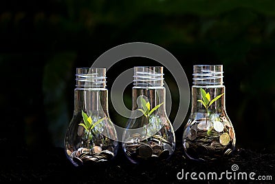 Money saving economy environment.Â  Plants growing in money coins in glass jar for investment planning travel and retirement. Stock Photo